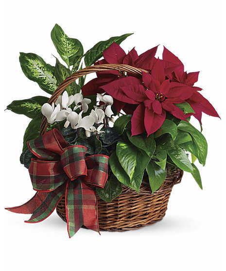 Holiday Homecoming Basket