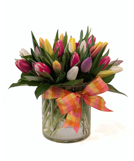 Spring Fling - Colorful Tulips Tied With a Bow